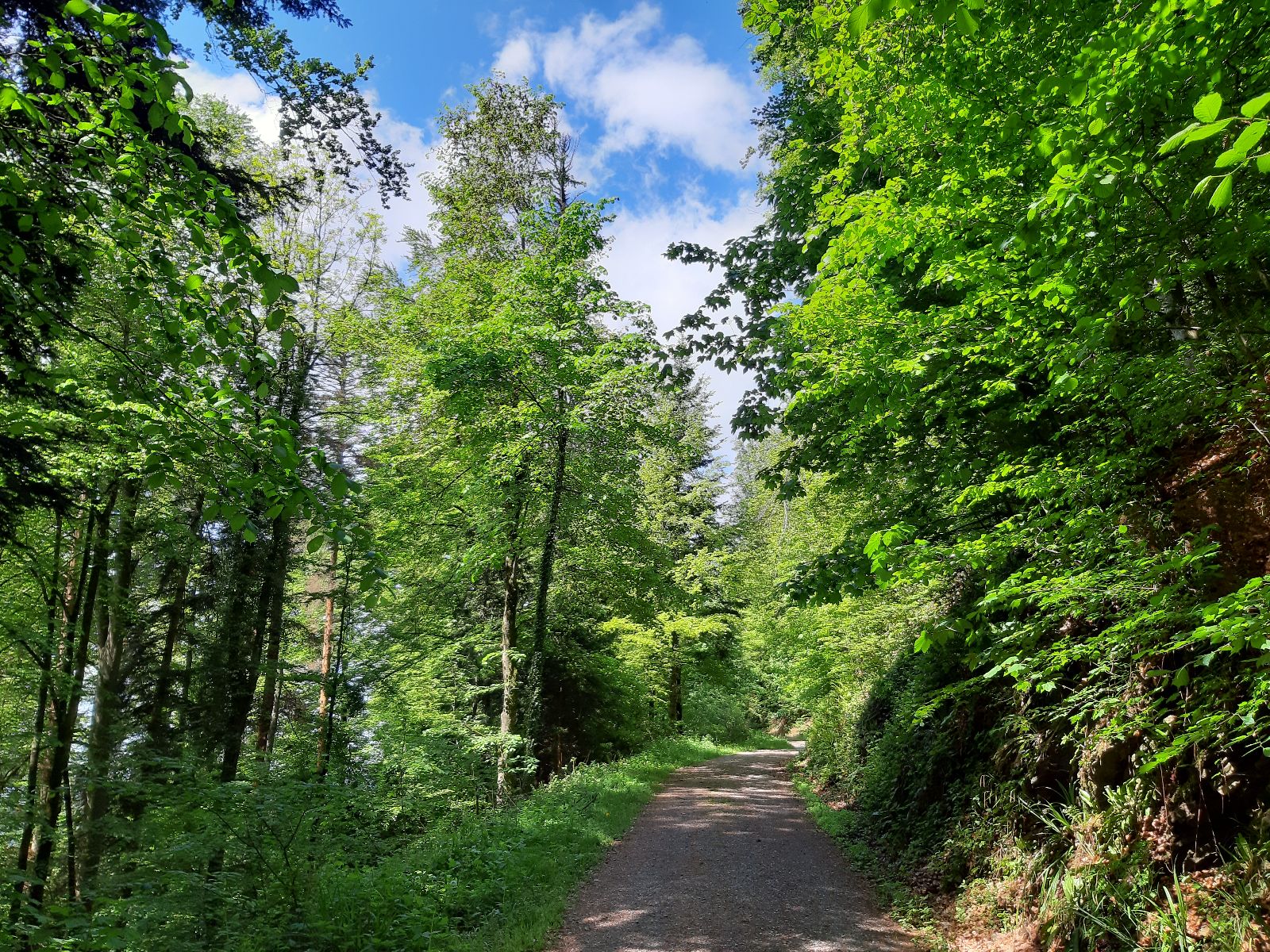 Der Rontaler Höhenweg bietet Erholung inmitten der Natur